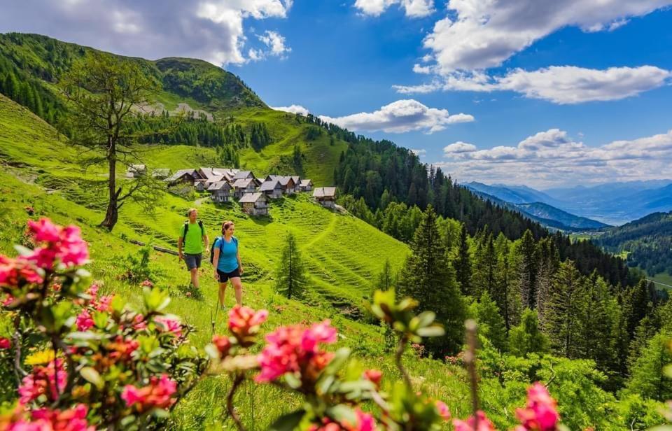 Luxury Chalet Mauthner Alm Kotschach-Mauthen Exteriör bild