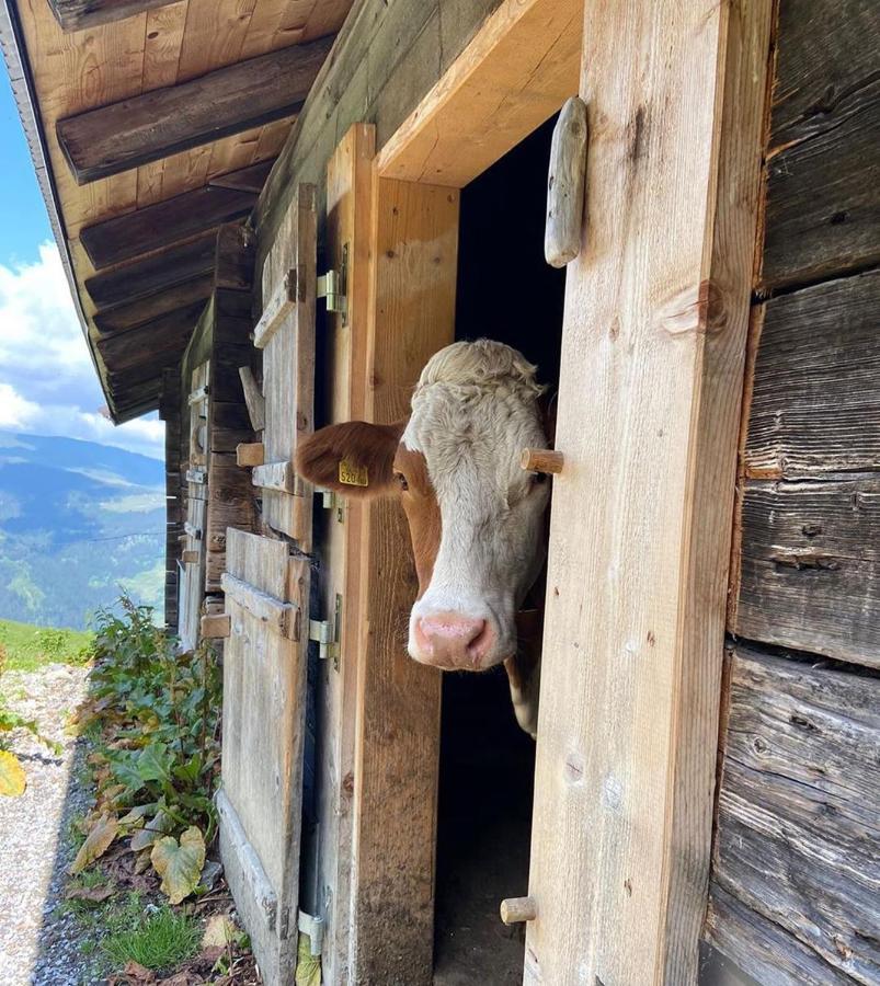 Luxury Chalet Mauthner Alm Kotschach-Mauthen Exteriör bild