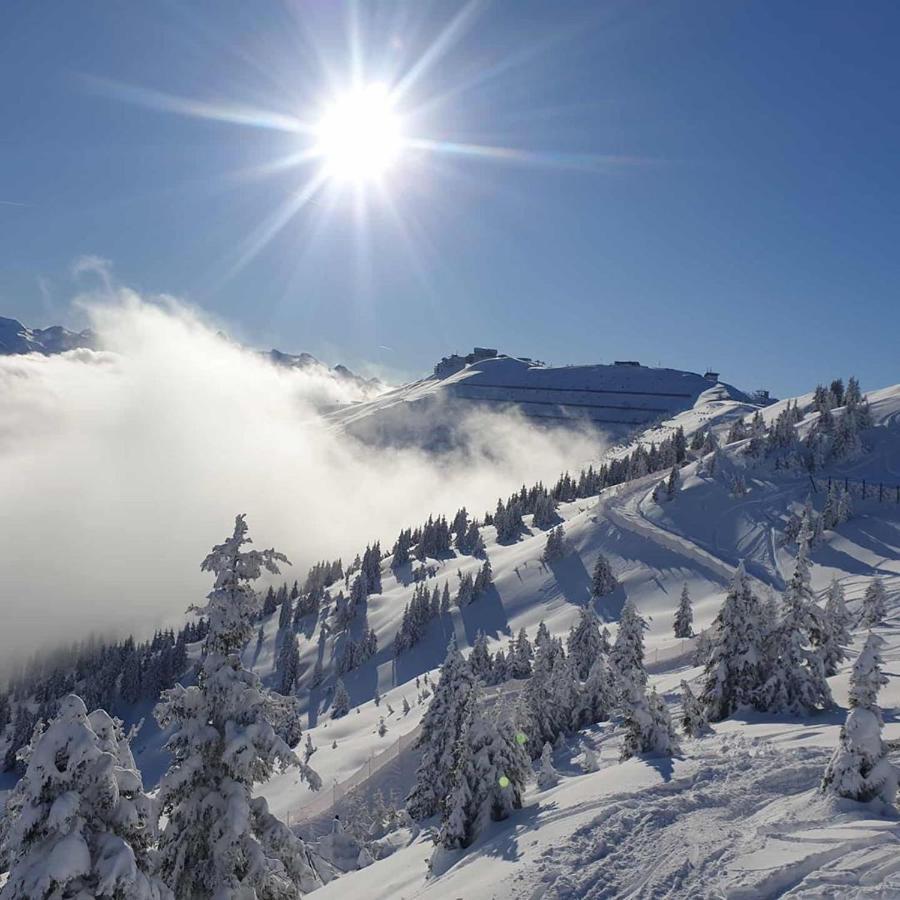 Luxury Chalet Mauthner Alm Kotschach-Mauthen Exteriör bild
